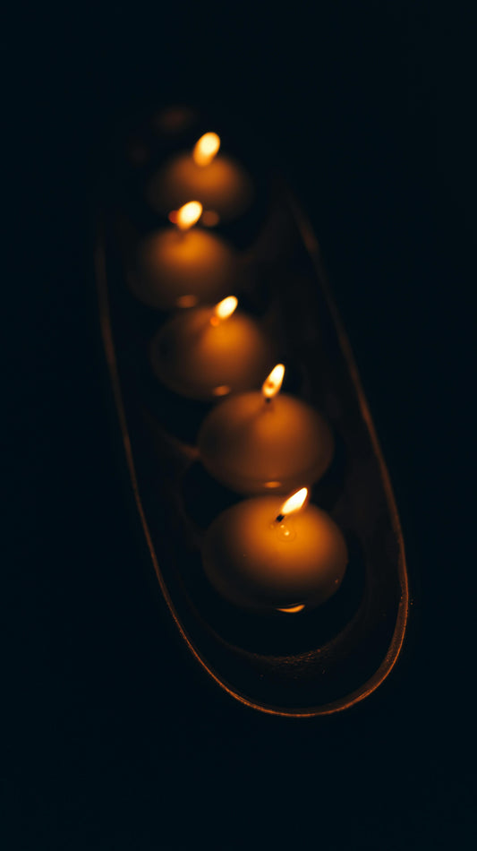 The Light You Come Home To